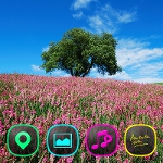 Download Meadow and Tree