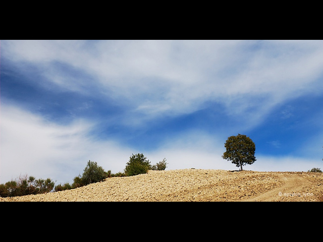 play slideshow