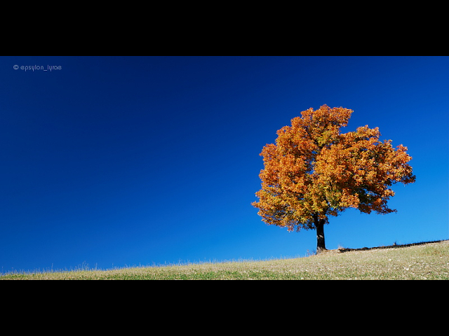play slideshow