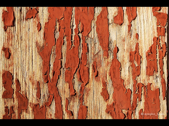 texture image