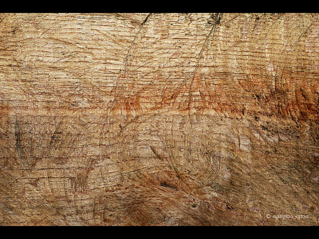texture image