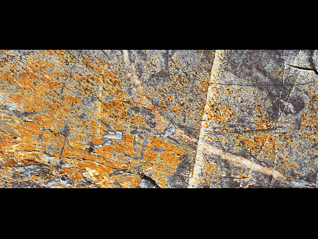 texture image