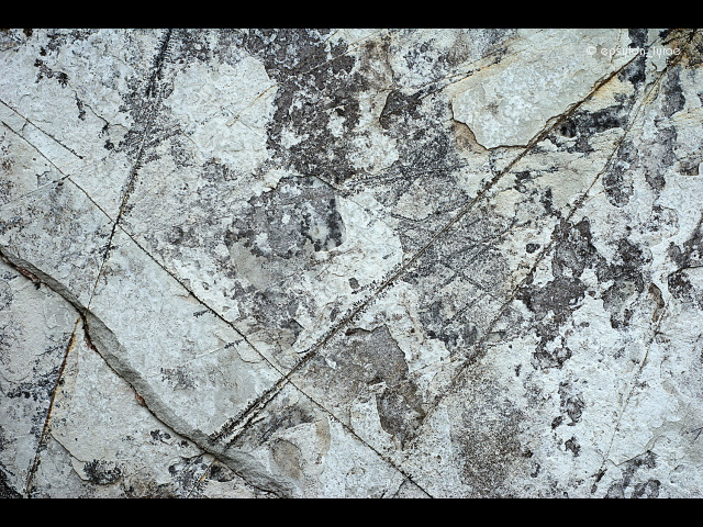 texture image
