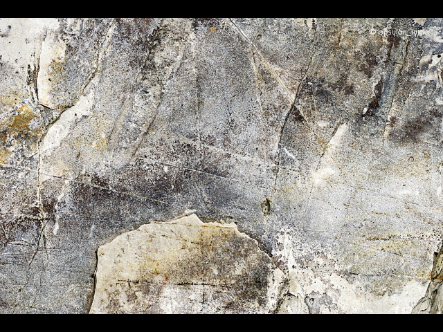 texture image
