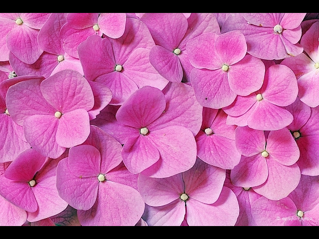 texture image