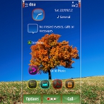 Autumn tree