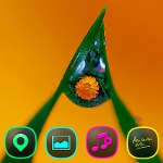 Download Inside