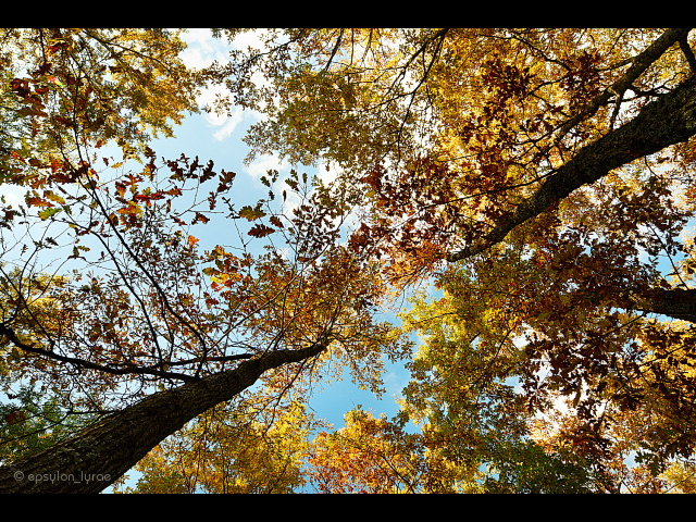 various image