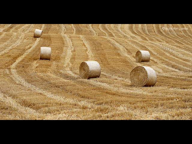 various image